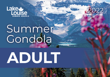 Adult Gondola Ticket (18+)